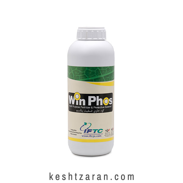 bigbag_وینفوس_70790.jpg