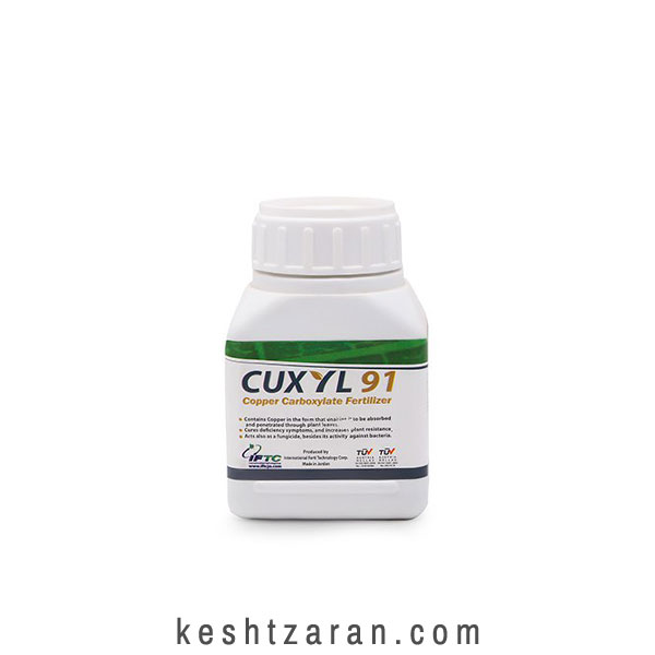 bigbag_91کوکسیل_70590.jpg