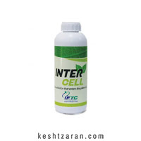 اینترسل (آمینواسید) مایع IFTC اردن
