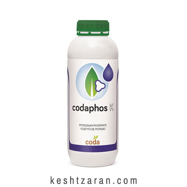 bigbag_کدافوسکی_70531.jpg