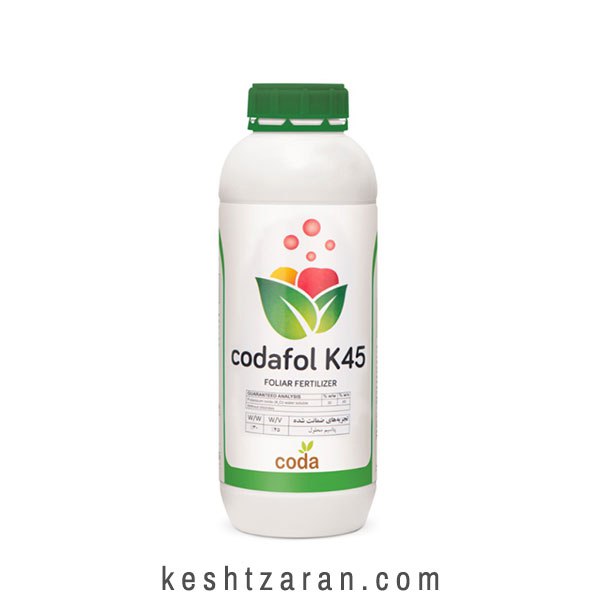 bigbag_(اسپانیا)CODAK45کدافولپتاس_70501.jpg