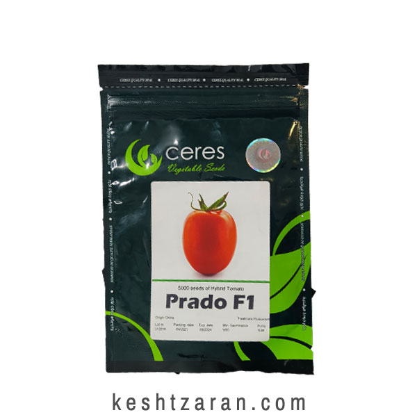 bigbag_بذرگوجهپرادو_70584.jpg