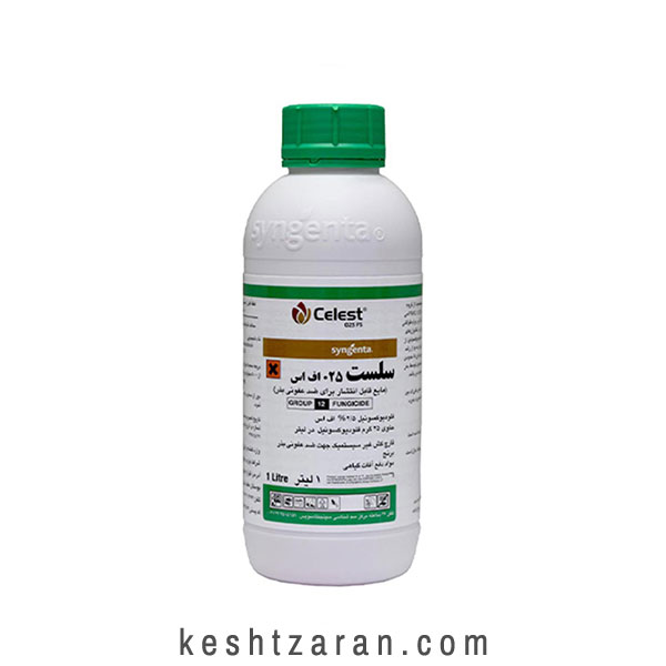 bigbag_سلست25افاسسینجنتا_70796.jpg