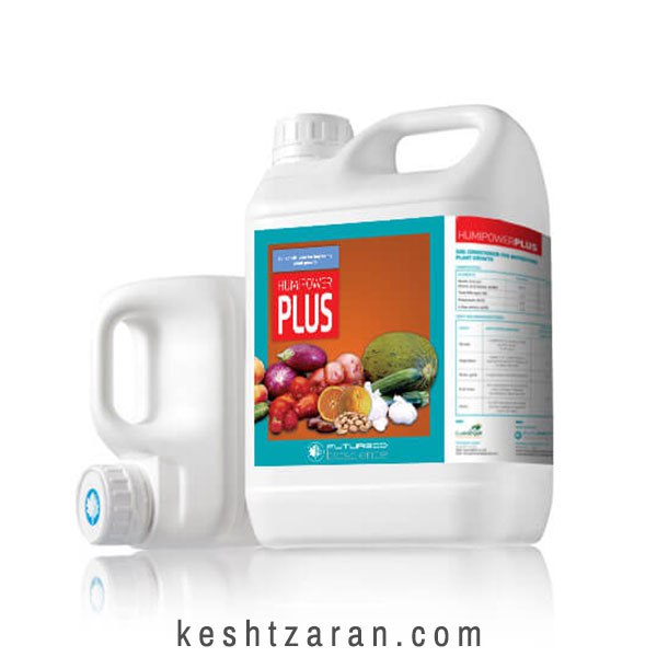 bigbag_هومیپاورپلاس_70443.jpg