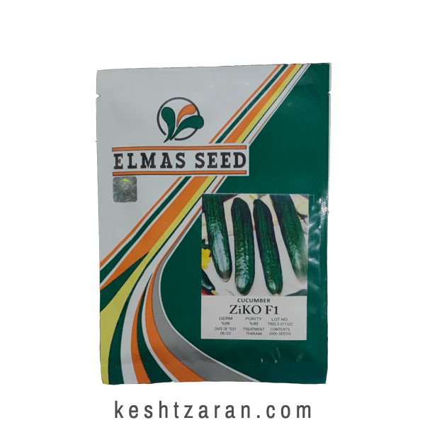 bigbag_بذرخیارفضاباززیکوالماسسید_70952.jpg
