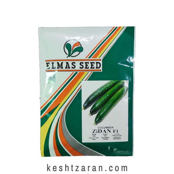 bigbag_بذرخیارفضاباززیدانالماسسید_70948.jpg