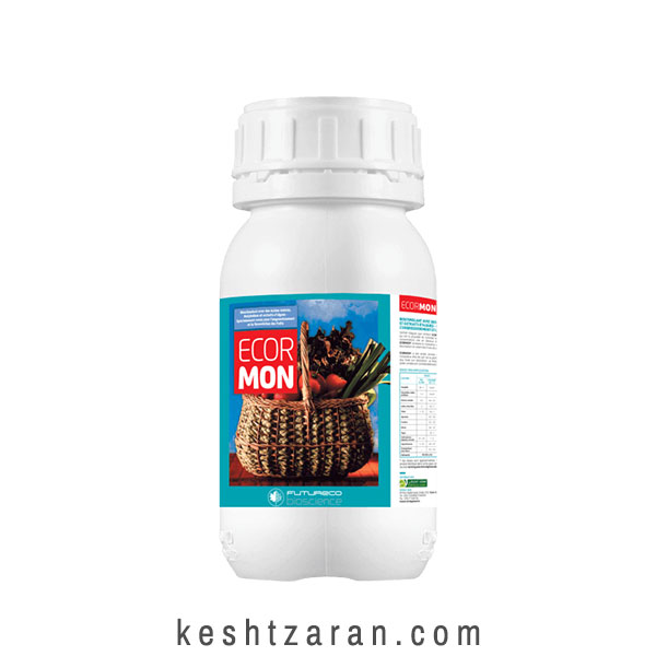 bigbag_اکورمونالیتری_70328.jpg